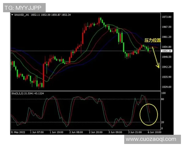 独家分析：南京乒乓球队的节奏对比